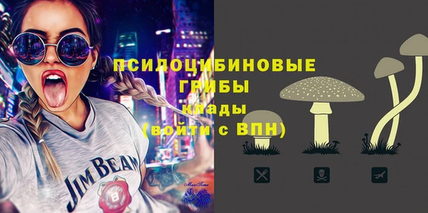 амф Инта